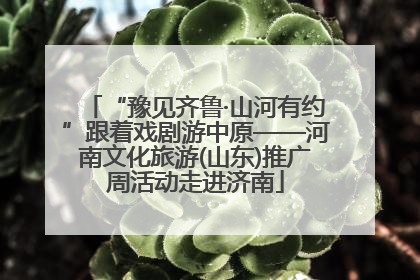 “豫见齐鲁·山河有约”跟着戏剧游中原——河南文化旅游(山东)推广周活动走进济南