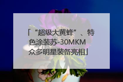 “超级大黄蜂”、特色涂装苏-30MKM 众多明星装备亮相
