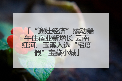 “遛娃经济”撬动端午住宿业新增长 云南红河、玉溪入选“宅度假”宝藏小城