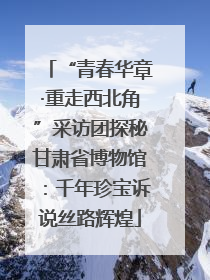 “青春华章·重走西北角”采访团探秘甘肃省博物馆：千年珍宝诉说丝路辉煌