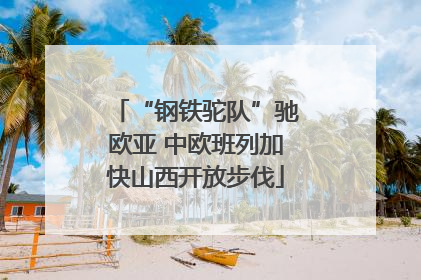 “钢铁驼队”驰欧亚 中欧班列加快山西开放步伐
