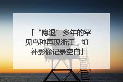 “隐退”多年的罕见鸟种再现浙江，填补影像记录空白