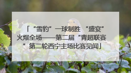 “雪豹”一球制胜 “盛宴”火爆全场——第二届“青超联赛”第二轮西宁主场比赛见闻