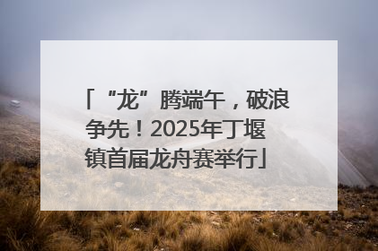 “龙”腾端午，破浪争先！2025年丁堰镇首届龙舟赛举行