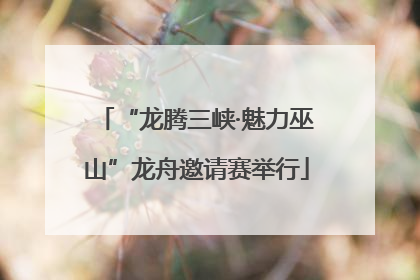 “龙腾三峡·魅力巫山”龙舟邀请赛举行