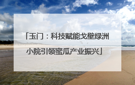 玉门：科技赋能戈壁绿洲 小院引领蜜瓜产业振兴