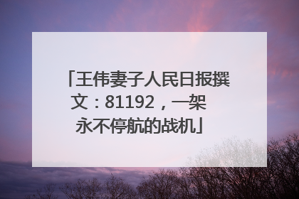 王伟妻子人民日报撰文：81192，一架永不停航的战机