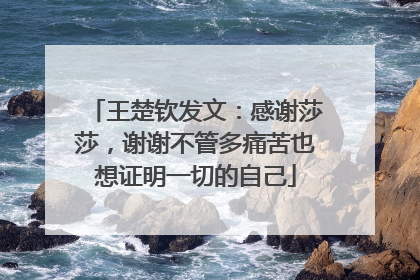 王楚钦发文：感谢莎莎，谢谢不管多痛苦也想证明一切的自己