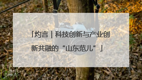 灼言｜科技创新与产业创新共融的“山东范儿”