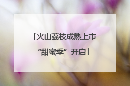 火山荔枝成熟上市 “甜蜜季”开启
