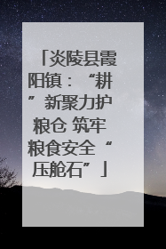 炎陵县霞阳镇：“耕”新聚力护粮仓 筑牢粮食安全“压舱石”