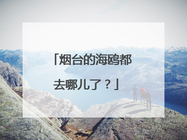 烟台的海鸥都去哪儿了？