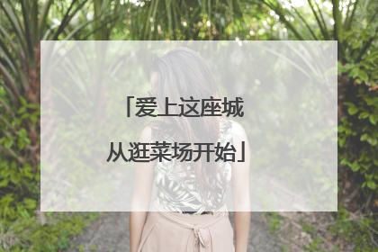 爱上这座城 从逛菜场开始