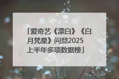 爱奇艺《漂白》《白月梵星》问鼎2025上半年多项数据榜