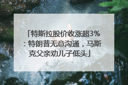 特斯拉股价收涨超3%：特朗普无意沟通，马斯克父亲劝儿子低头
