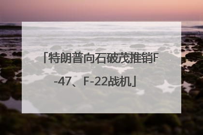 特朗普向石破茂推销F-47、F-22战机