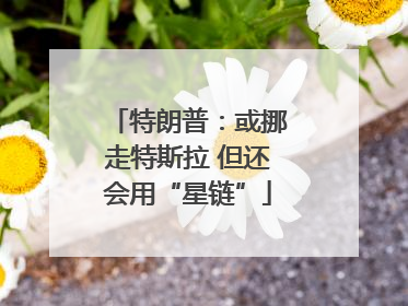 特朗普：或挪走特斯拉 但还会用“星链”