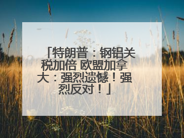 特朗普：钢铝关税加倍 欧盟加拿大：强烈遗憾！强烈反对！