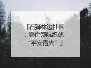 石狮林边社区：党建领航织就“平安霞光”
