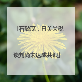 石破茂：日美关税谈判尚未达成共识