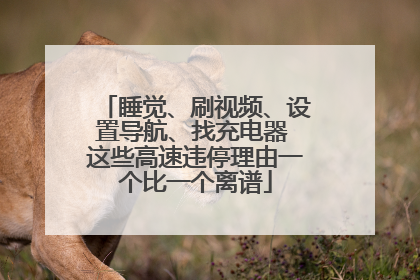 睡觉、刷视频、设置导航、找充电器 这些高速违停理由一个比一个离谱