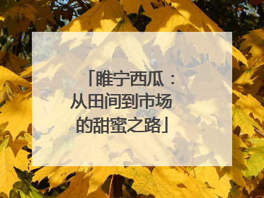 睢宁西瓜：从田间到市场的甜蜜之路