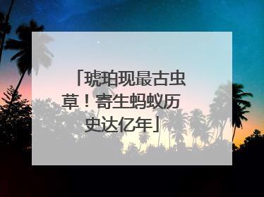 琥珀现最古虫草！寄生蚂蚁历史达亿年