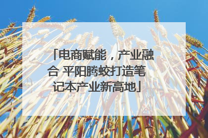 电商赋能，产业融合 平阳腾蛟打造笔记本产业新高地