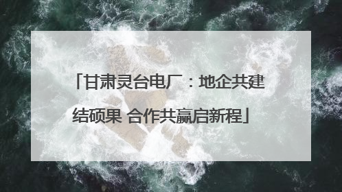 甘肃灵台电厂：地企共建结硕果 合作共赢启新程