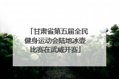 甘肃省第五届全民健身运动会陆地冰壶比赛在武威开赛