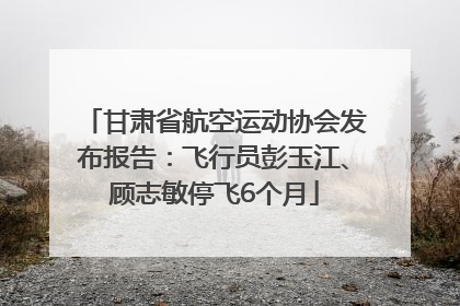 甘肃省航空运动协会发布报告：飞行员彭玉江、顾志敏停飞6个月