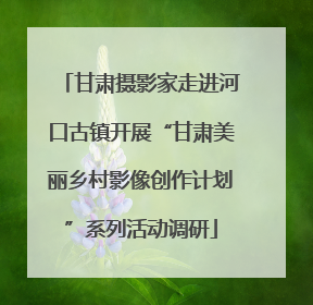 甘肃摄影家走进河口古镇开展“甘肃美丽乡村影像创作计划”系列活动调研
