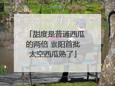 甜度是普通西瓜的两倍 襄阳首批太空西瓜熟了