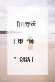 田野沃土里“种”创新