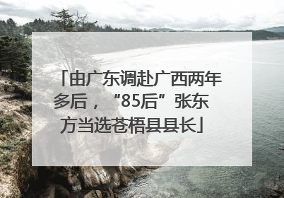 由广东调赴广西两年多后，“85后”张东方当选苍梧县县长