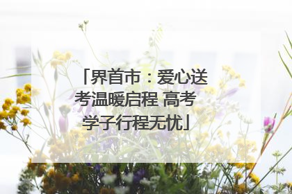 界首市：爱心送考温暖启程 高考学子行程无忧