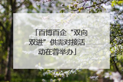 百博百企“双向双进”供需对接活动在蓉举办