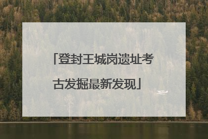 登封王城岗遗址考古发掘最新发现