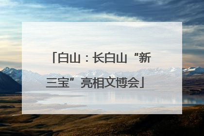 白山：长白山“新三宝”亮相文博会