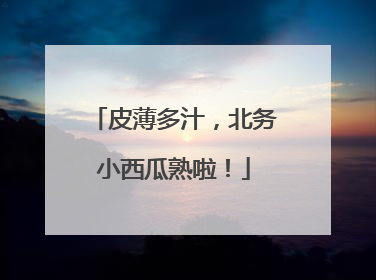 皮薄多汁，北务小西瓜熟啦！