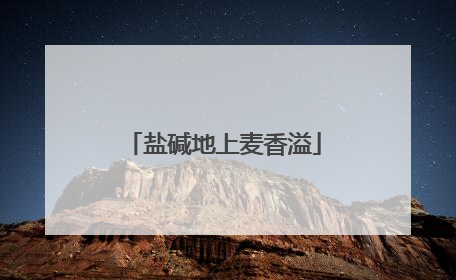 盐碱地上麦香溢