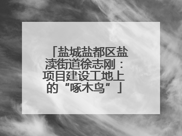 盐城盐都区盐渎街道徐志刚：项目建设工地上的“啄木鸟”