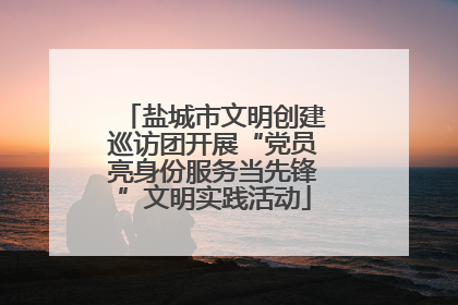 盐城市文明创建巡访团开展“党员亮身份服务当先锋”文明实践活动