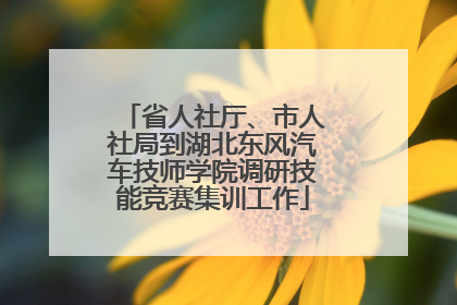 省人社厅、市人社局到湖北东风汽车技师学院调研技能竞赛集训工作