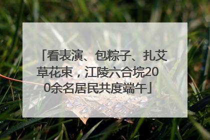看表演、包粽子、扎艾草花束，江陵六合垸200余名居民共度端午
