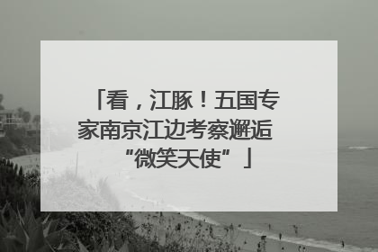 看，江豚！五国专家南京江边考察邂逅“微笑天使”