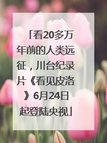 看20多万年前的人类远征，川台纪录片《看见皮洛》6月24日起登陆央视