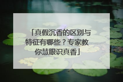 真假沉香的区别与特征有哪些？专家教你慧眼识真香
