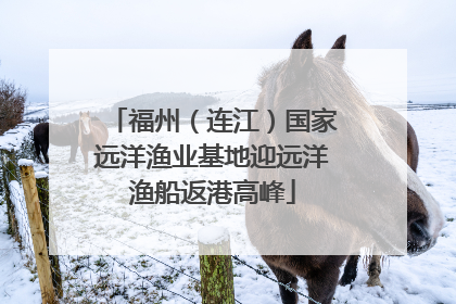 福州（连江）国家远洋渔业基地迎远洋渔船返港高峰