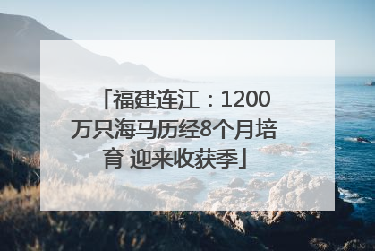 福建连江：1200万只海马历经8个月培育 迎来收获季